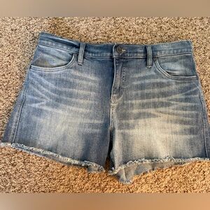 Carve Designs 4” Jean Cutoff Shorts Size 10